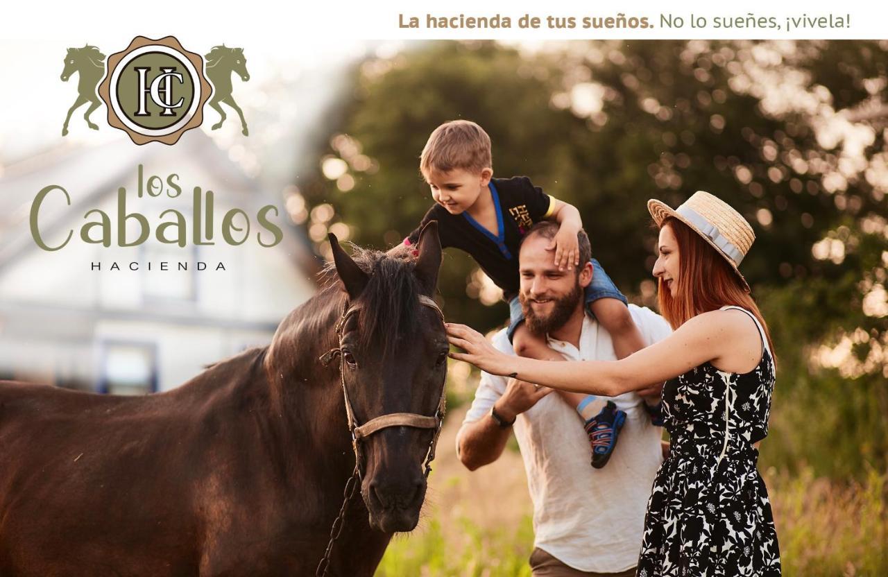 Hacienda Los Caballos 卡塔亚 外观 照片